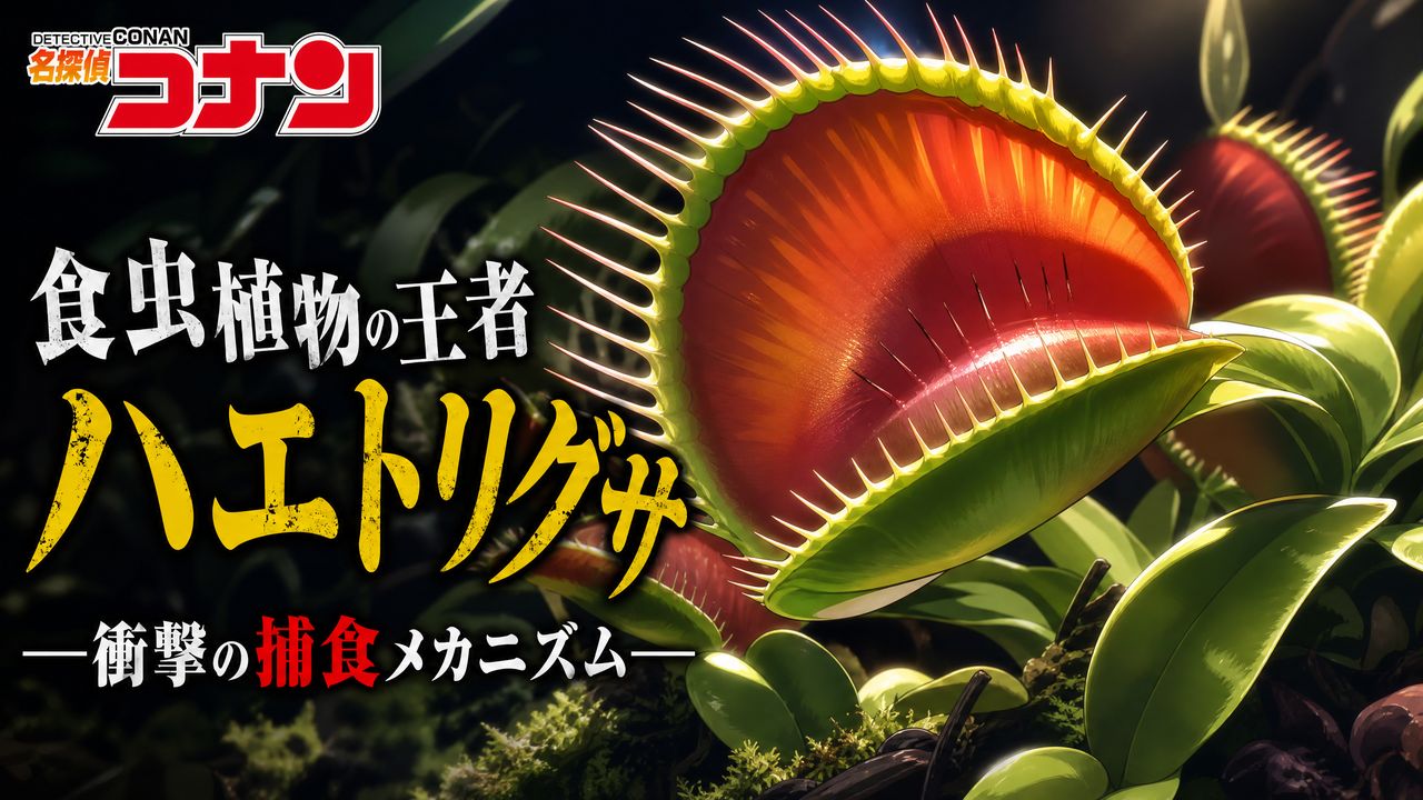 抖阴植物视频-【植物视频教程】食虫植物捕食机制完整视频演示