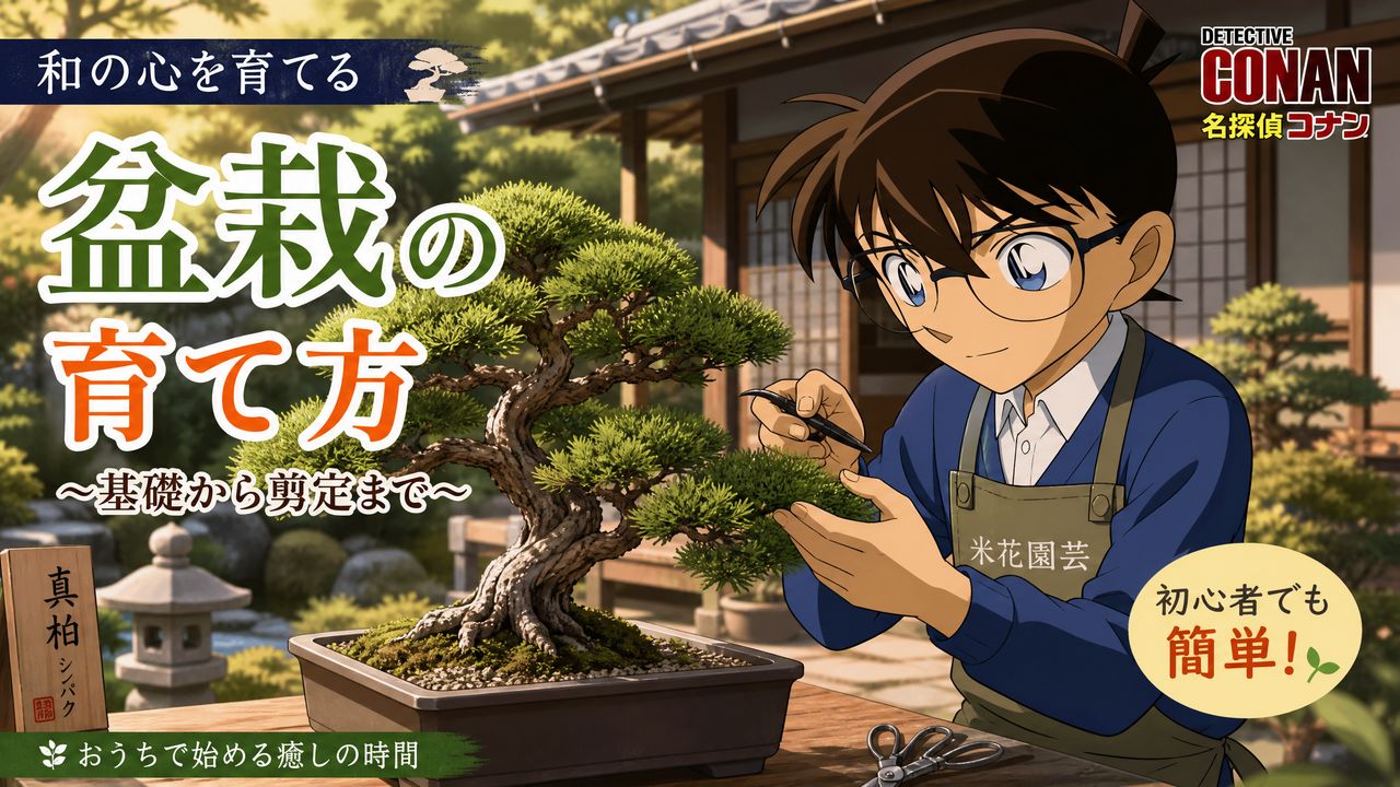 抖阴植物视频-盆栽植物视频教程 | 从入门到精通完整视频演示